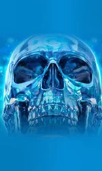 Crystal Skull